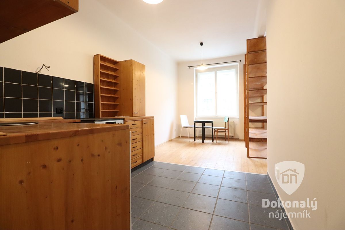 Pronájem bytu 1+kk 42 m²